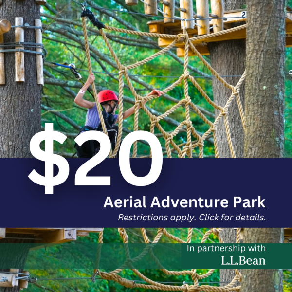 Aerial Adventure Park
